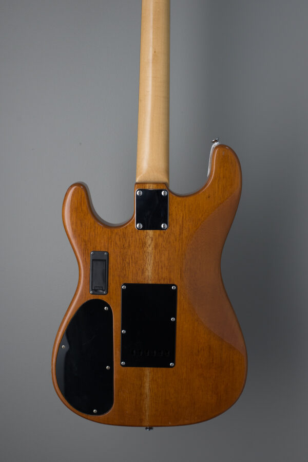 Swaim Guitar Works Strat Style Guitar - Custom Boutique - USED - Image 3