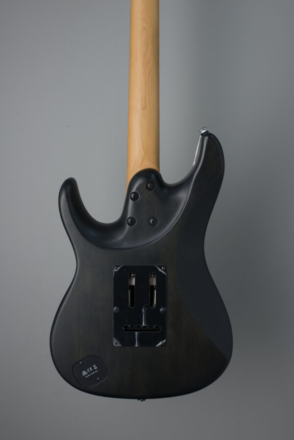 Ibanez EH10 TGM Erick Hansel Signature - Transparent Green Matte - Image 3