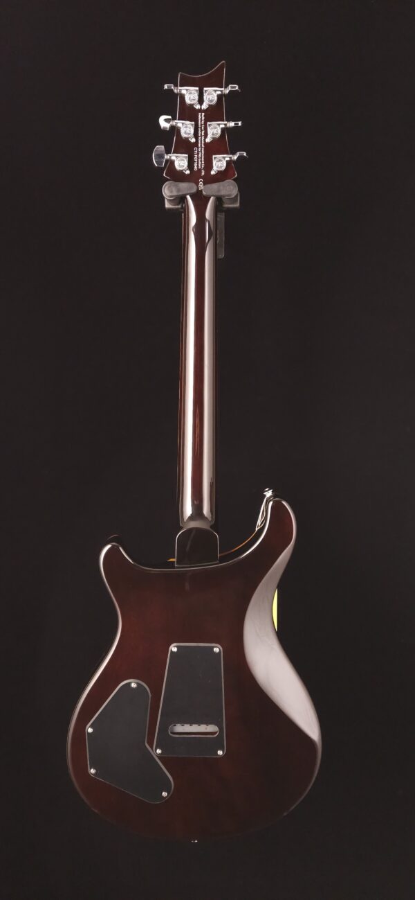 PRS SE DGT David Grissom Signature Solidbody Electric Guitar - Gold Top - Image 6