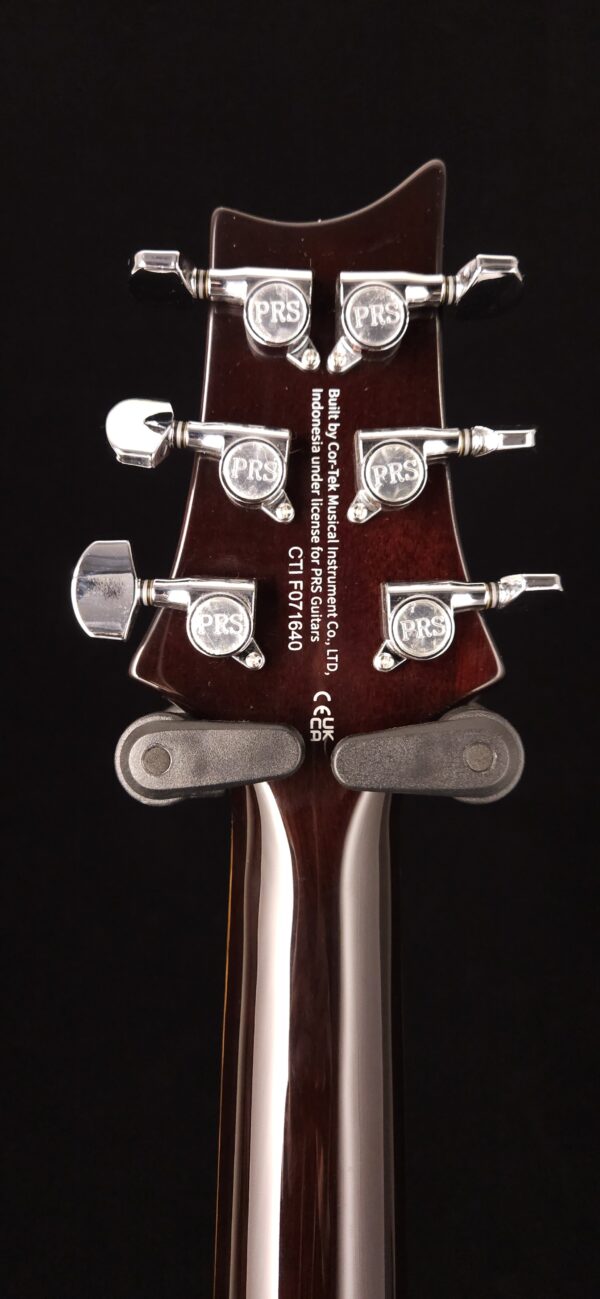 PRS SE DGT David Grissom Signature Solidbody Electric Guitar - Gold Top - Image 7