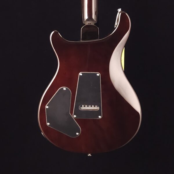 PRS SE DGT David Grissom Signature Solidbody Electric Guitar - Gold Top - Image 8