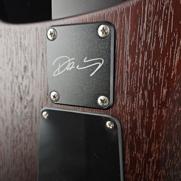 PRS DW CE 24 "Floyd" Electric Guitar - Burnt Amber Smokeburst - NEW ! - Image 10