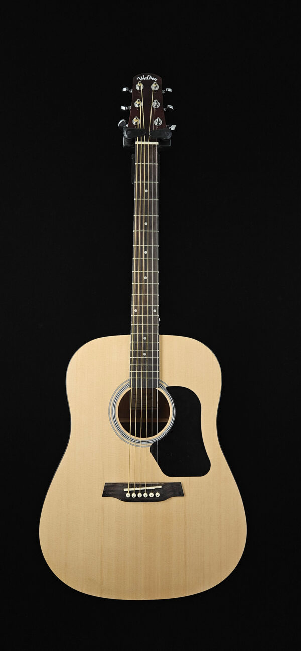 Walden D350/W Dreadnaught Acoustic Guitar - NEW ! - Image 2