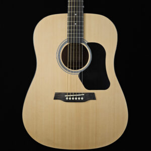 Walden D350/W Dreadnaught Acoustic Guitar - NEW !