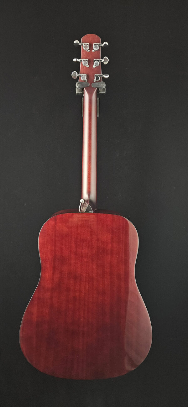 Walden D350/W Dreadnaught Acoustic Guitar - NEW ! - Image 6