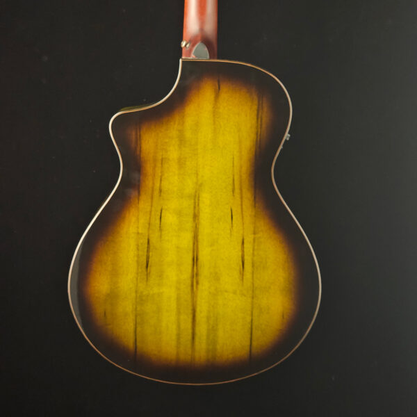 Breedlove Limited Pursuit Exotic EX S Concert Earthsong EA CE - NEW ! - Image 9