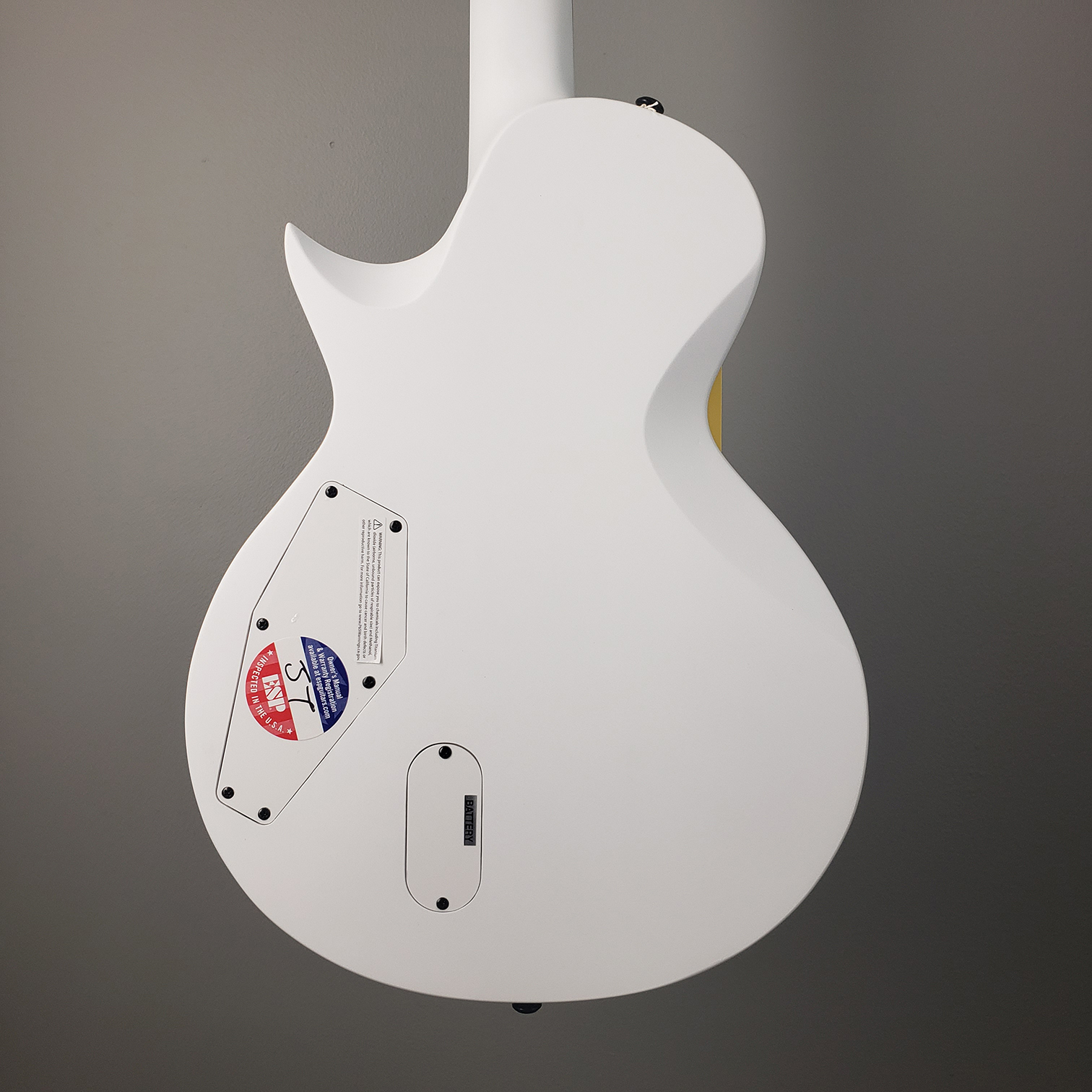 ESP LTD EC Arctic Metal Electric Guitar Snow White Satin NEW Flores Music Online